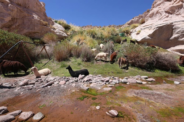 Benim Objektifimden 10