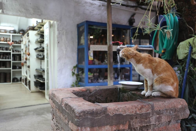 Benim Objektifimden 3